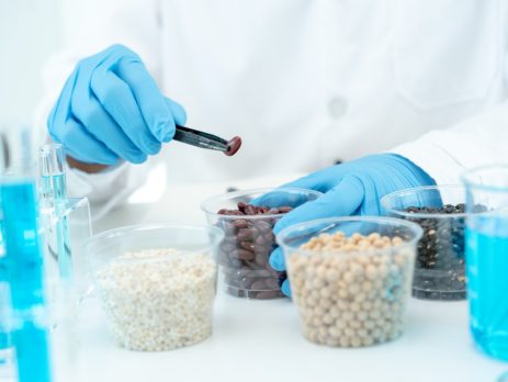 I vantaggi nutrizionali degli alimenti fermentati
